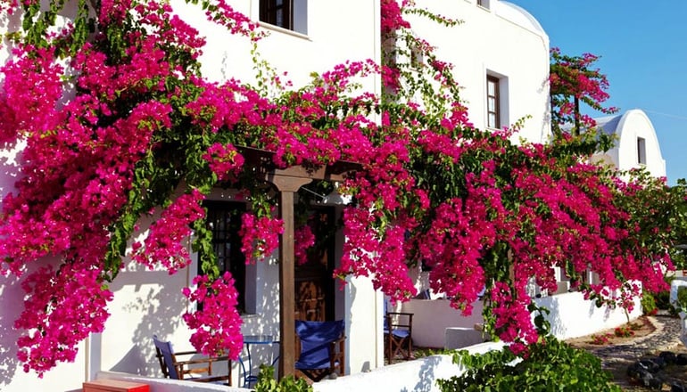 Anna Traditional Apartments - Καμάρι, Σαντορίνη